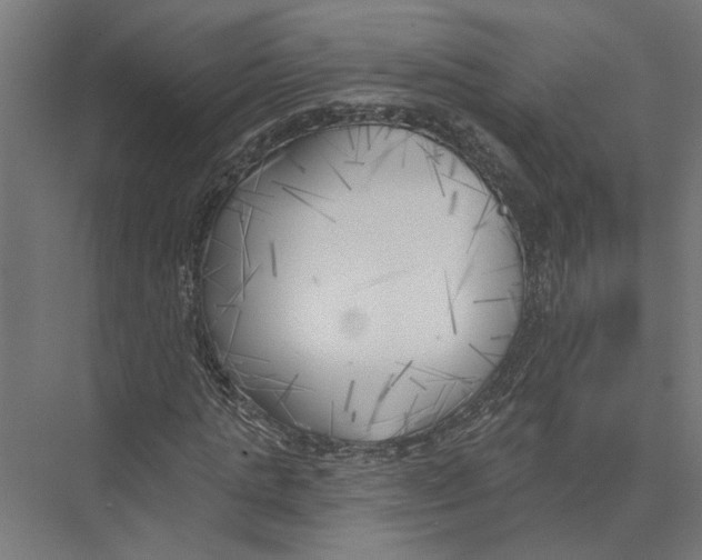 X0000075350821200610061718