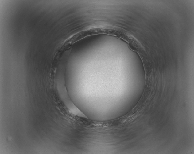 X0000075350822200610061718