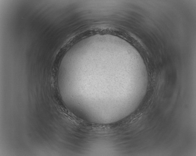 X0000075350823200610061718
