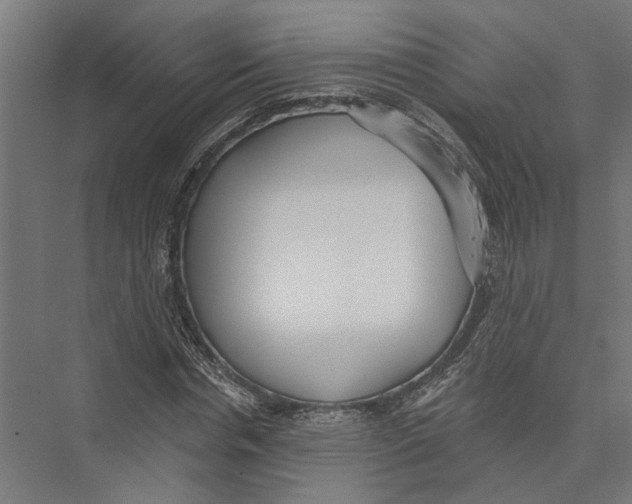 X0000075350826200610061718