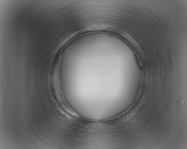X0000075350834200610061718