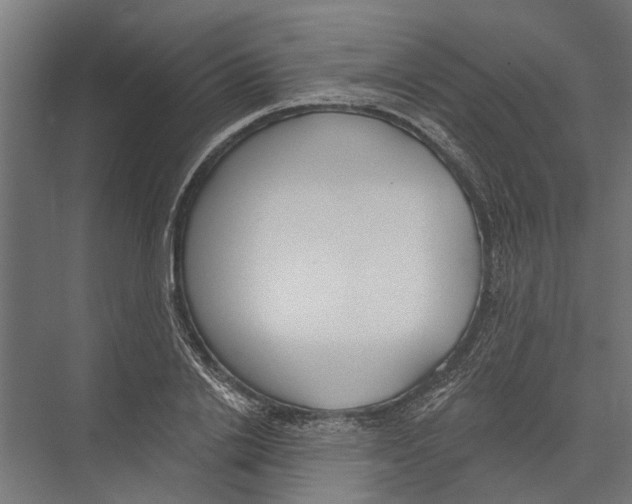X0000075350838200610061719