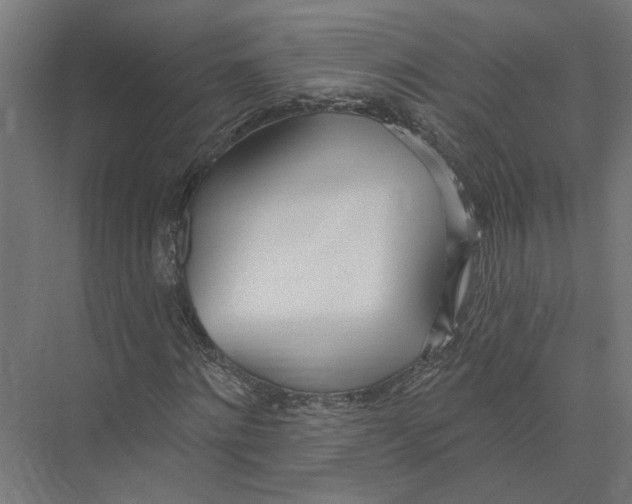 X0000075350868200610061718