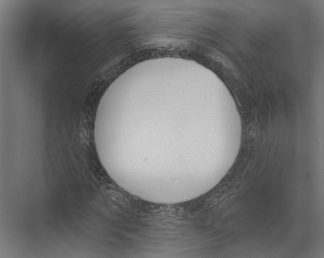 X0000075350869200610061718