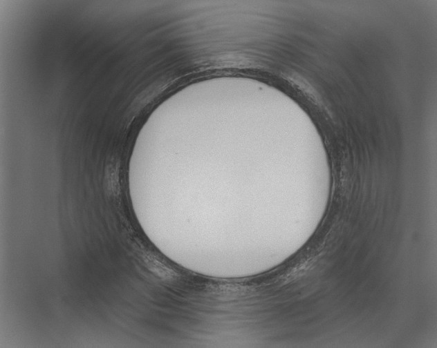 X0000075350873200610061718