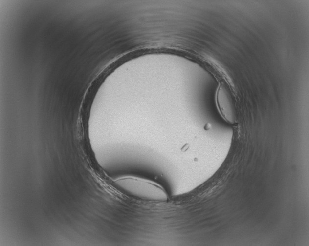 X0000075350876200610061718