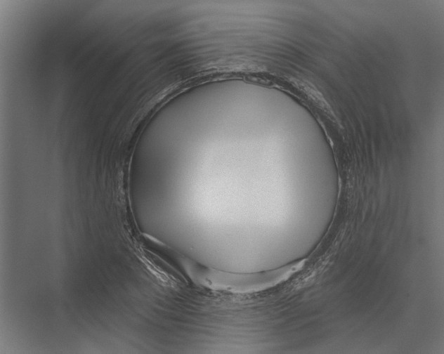 X0000075350881200610061718