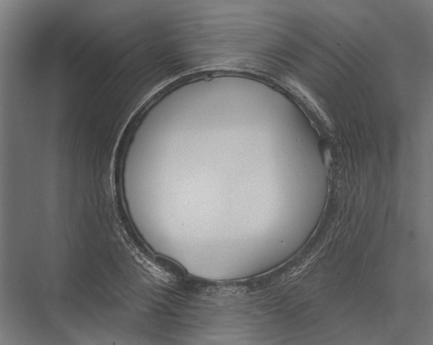 X0000075350884200610061718