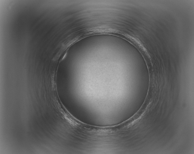X0000075350889200610061718
