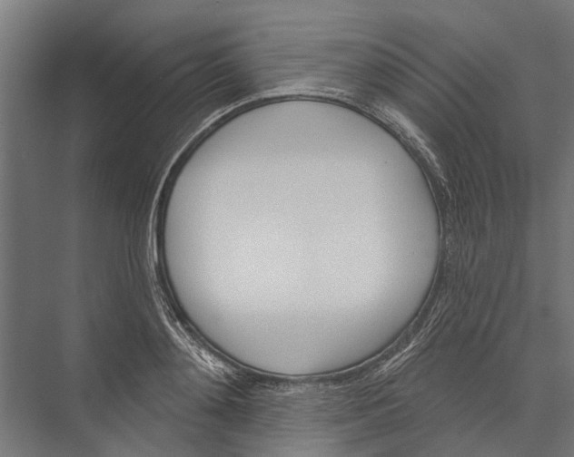 X0000075350892200610061718