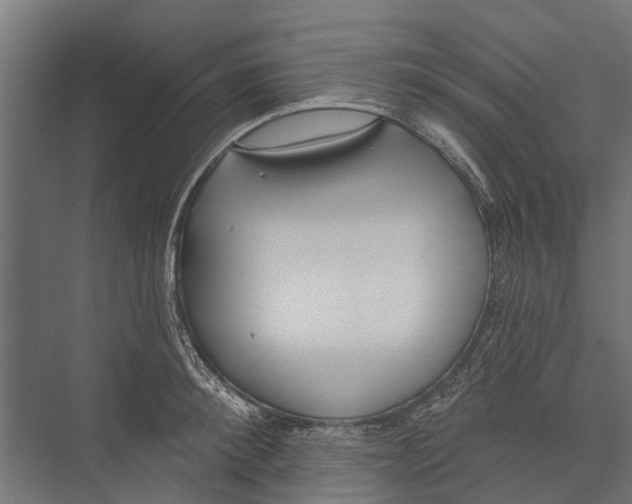 X0000075350900200610061718