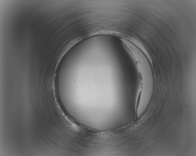 X0000075350906200610061717