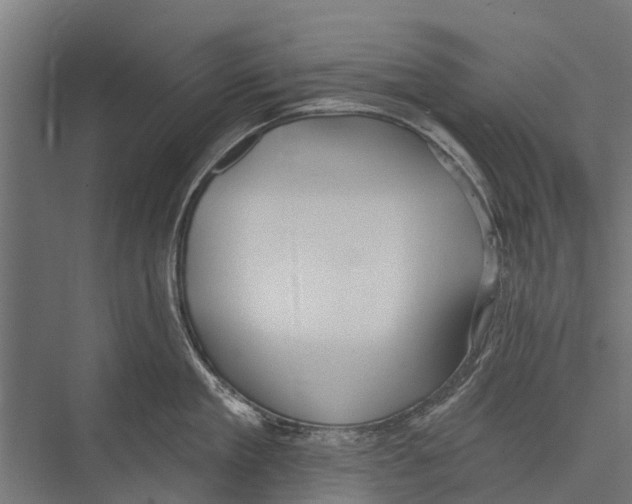 X0000075350909200610061717