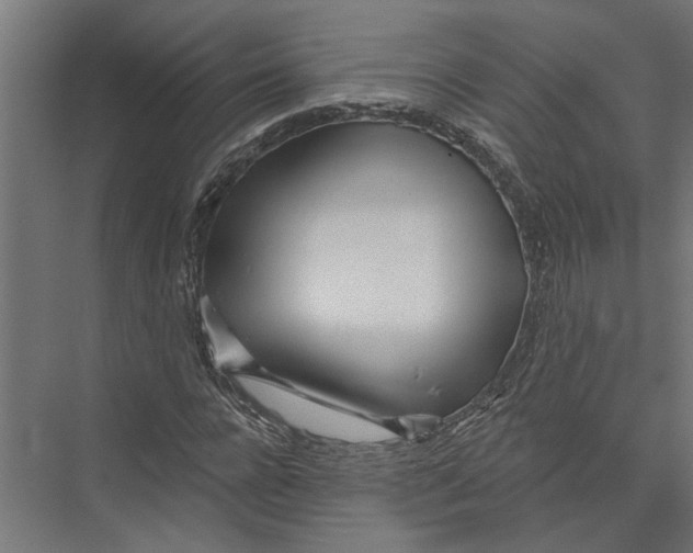 X0000075350920200610061717