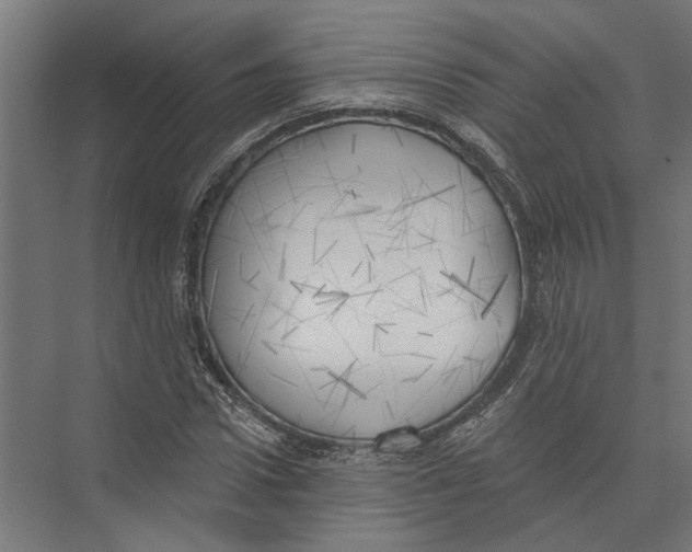 X0000075350922200610061717