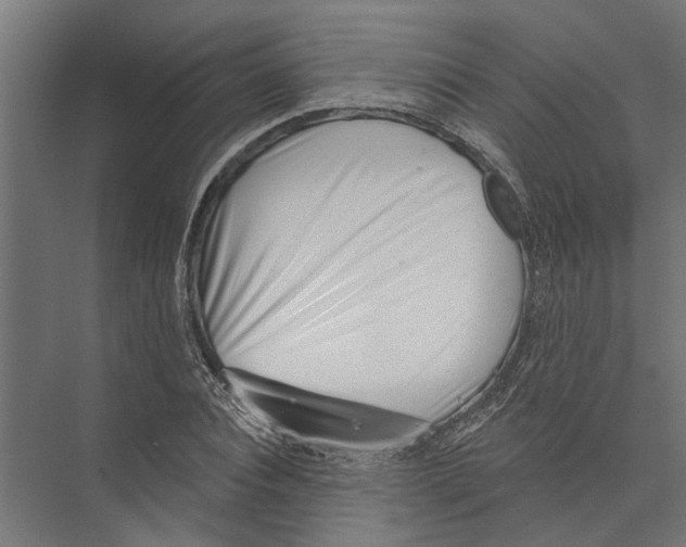 X0000075350928200610061717