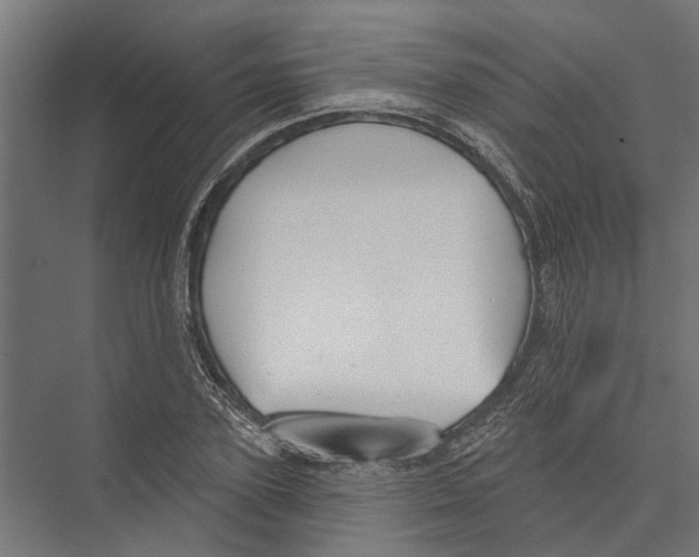 X0000075350931200610061717