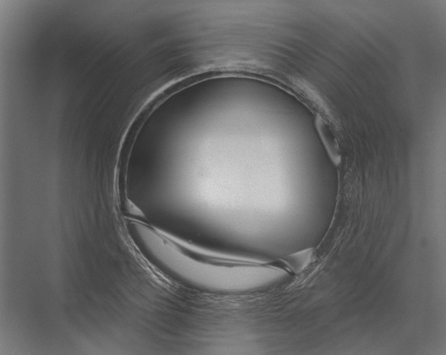 X0000075350932200610061717