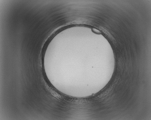 X0000075350934200610061717