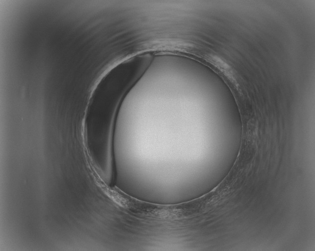 X0000075350936200610061717