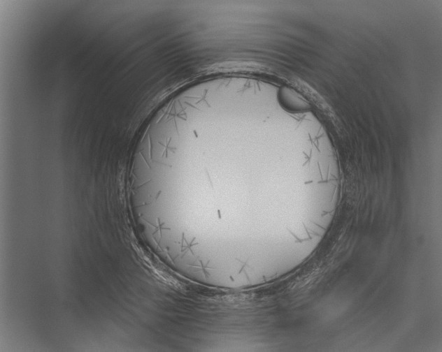 X0000075350937200610061717