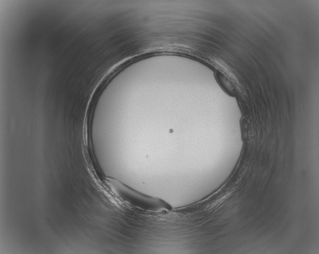 X0000075350940200610061717