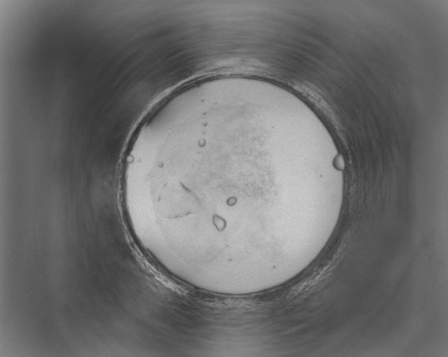 X0000075350941200610061717