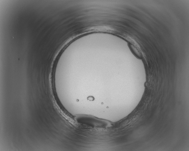 X0000075350947200610061717