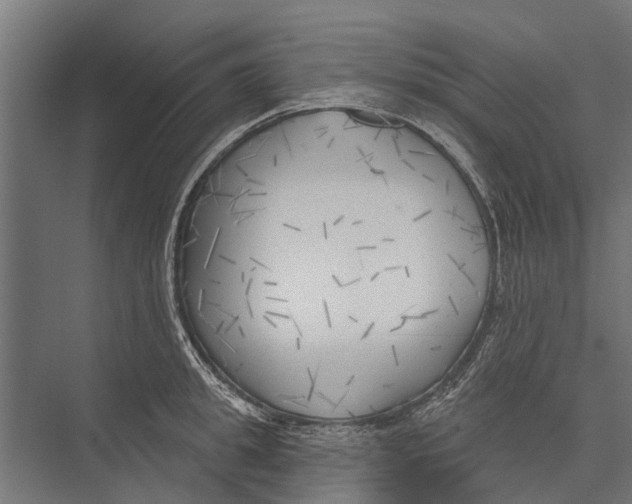 X0000075350949200610061717