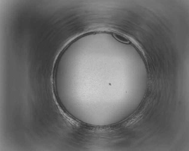 X0000075350951200610061717