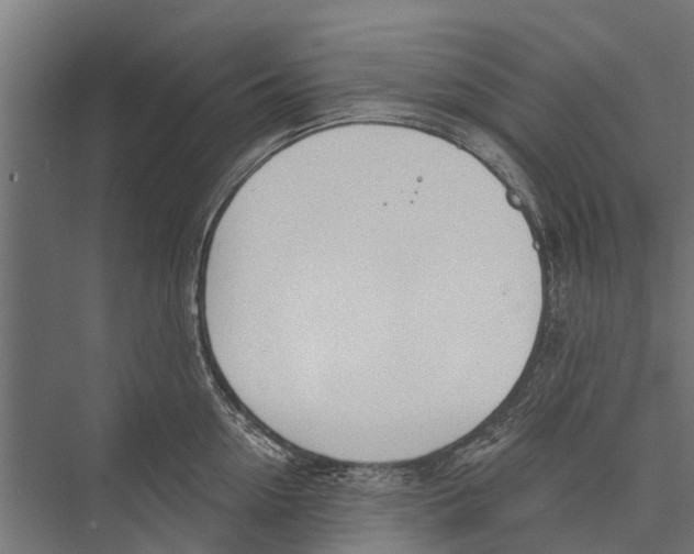 X0000075350954200610061717