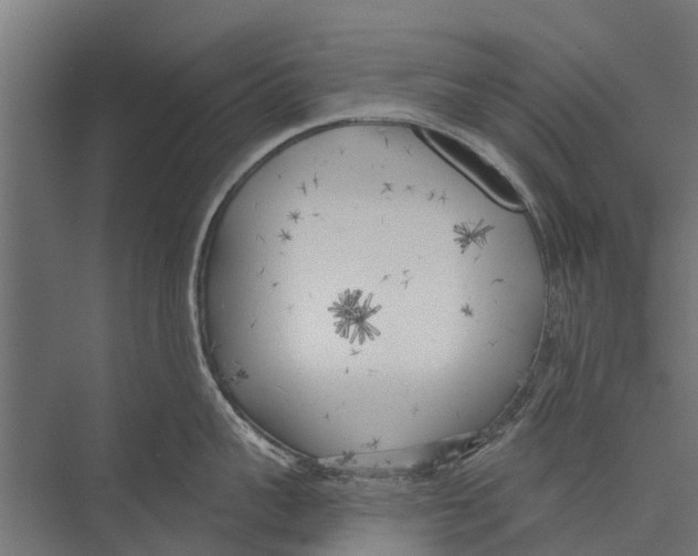 X0000075350959200610061717