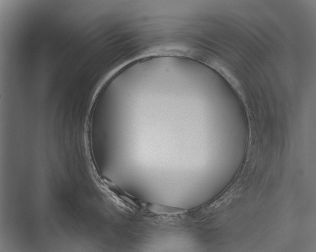 X0000075350960200610061717