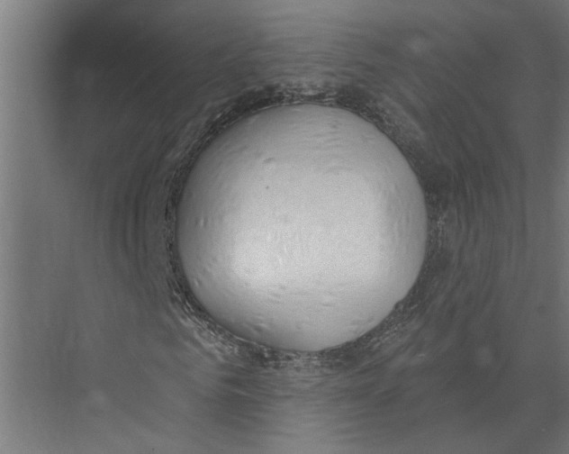 X0000075350961200610061717