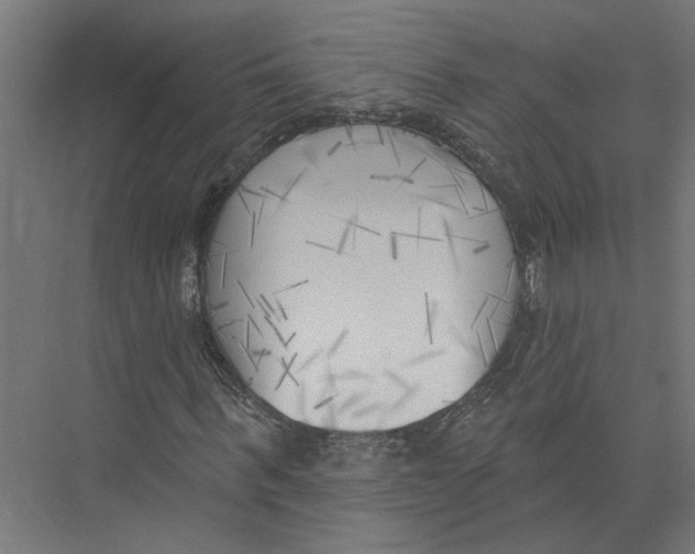 X0000075350963200610061716