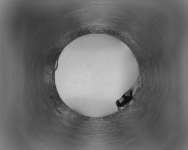 X0000075350964200610061716