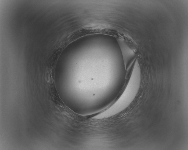 X0000075350965200610061716