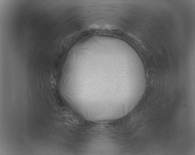 X0000075350966200610061716