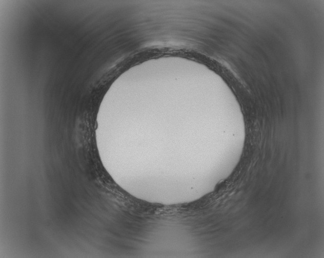 X0000075350967200610061716