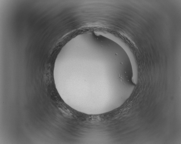 X0000075350968200610061716