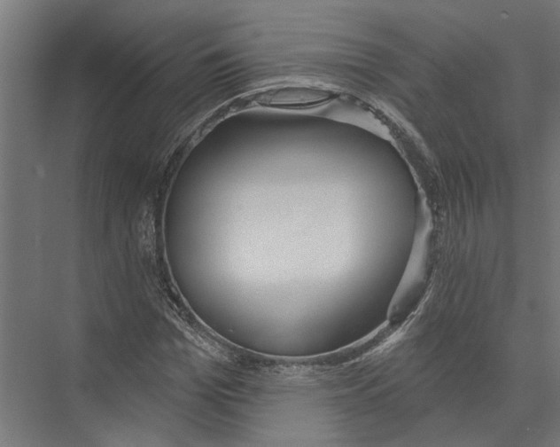 X0000075350969200610061716