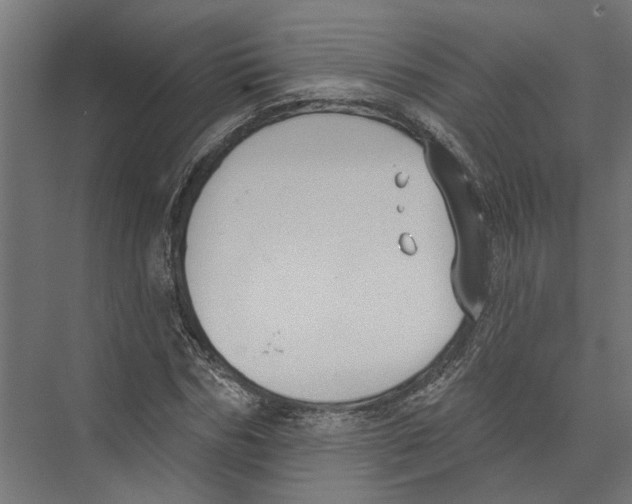 X0000075350970200610061716