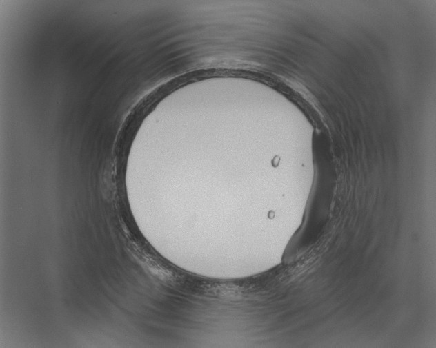 X0000075350971200610061716