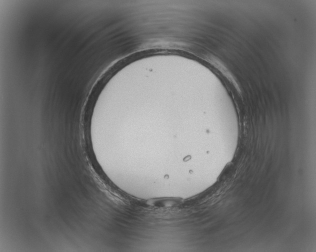 X0000075350972200610061716