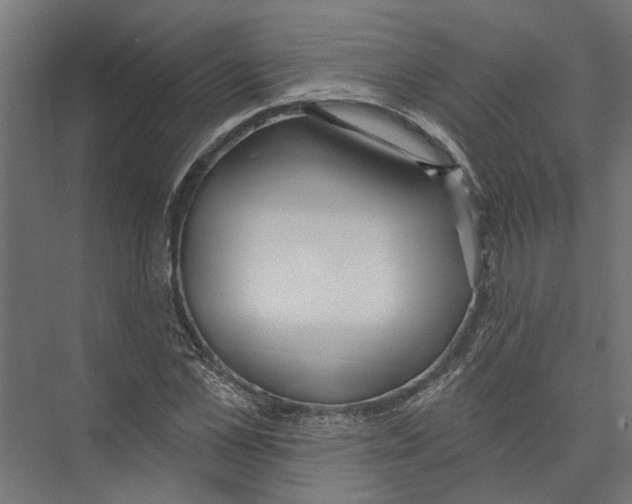 X0000075350973200610061716