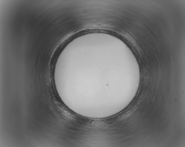 X0000075350974200610061716