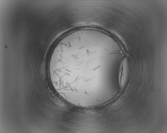 X0000075350975200610061716