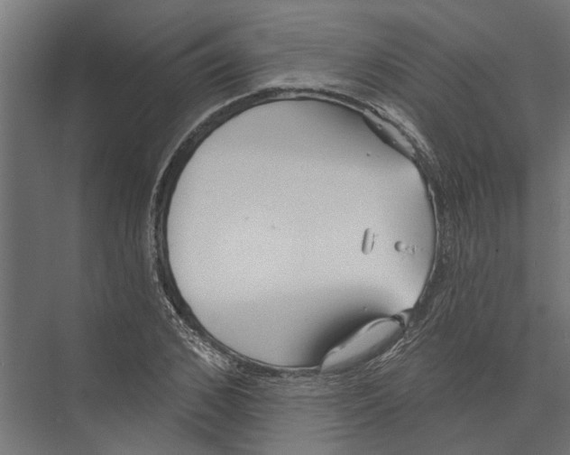 X0000075350976200610061716