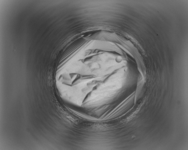 X0000075350977200610061716