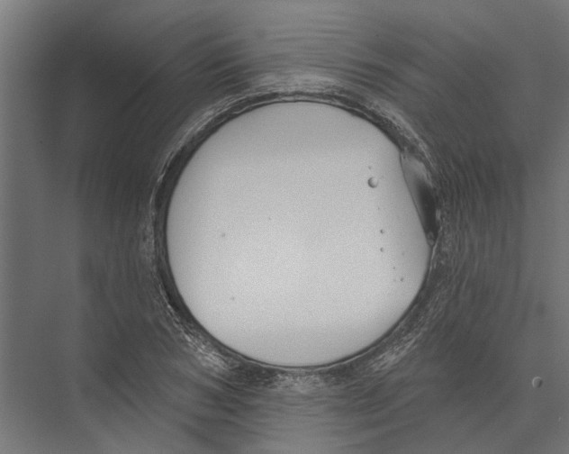 X0000075350978200610061716